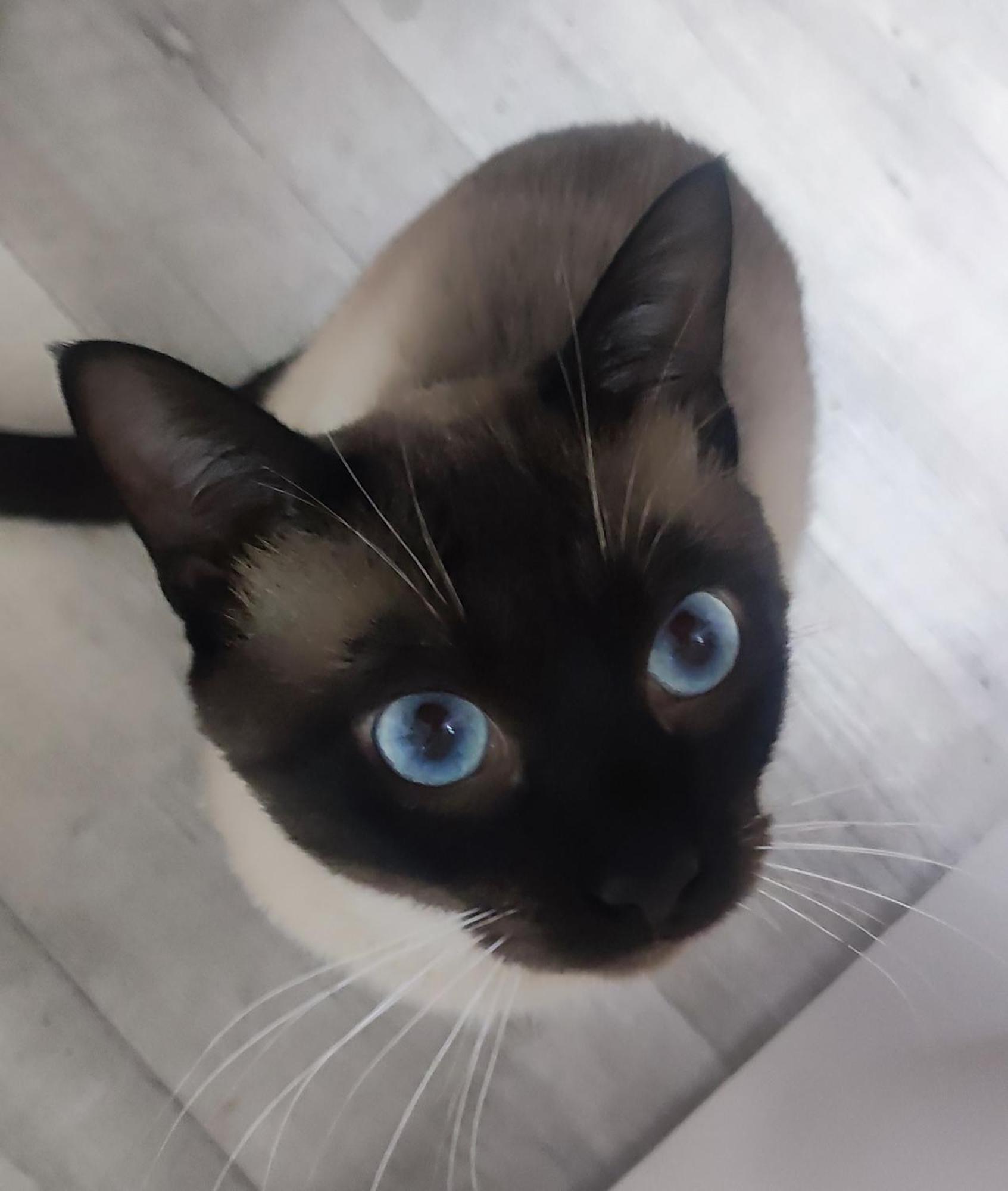 Mascotas Brais Guest House San Miguel Reinante Екстериор снимка